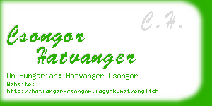 csongor hatvanger business card